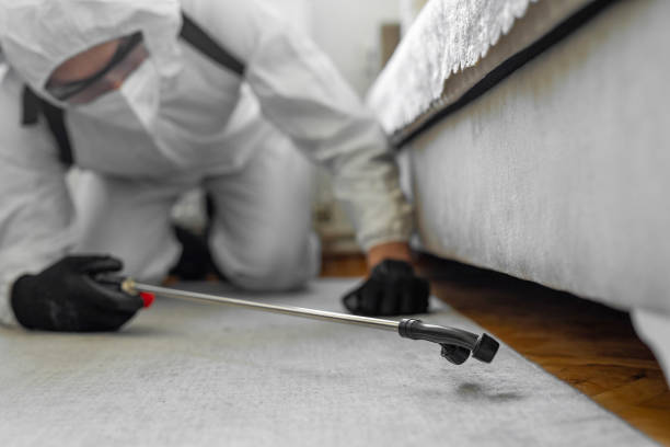 Professional Termite Control technician working in South Berwick, ME