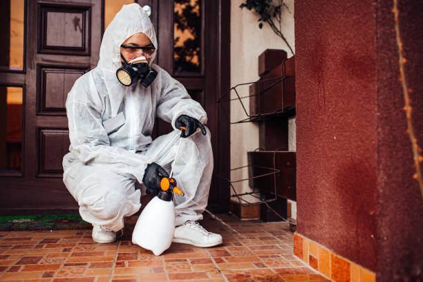 Reliable Termite Control contractor in South Berwick, ME by Nex Pest Control