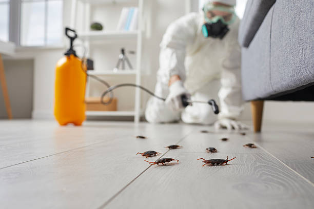 Trusted Cockroach Control service in South Berwick, ME - Nex Pest Control